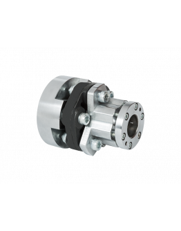 Flexible Coupling GyroFlex type 2 25mm 250Nm